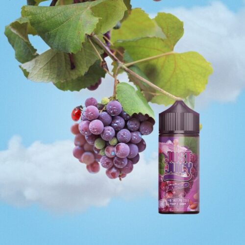 Just Juicy - Solo - Freshly Pressed Purple Grape - 2mg 120ml